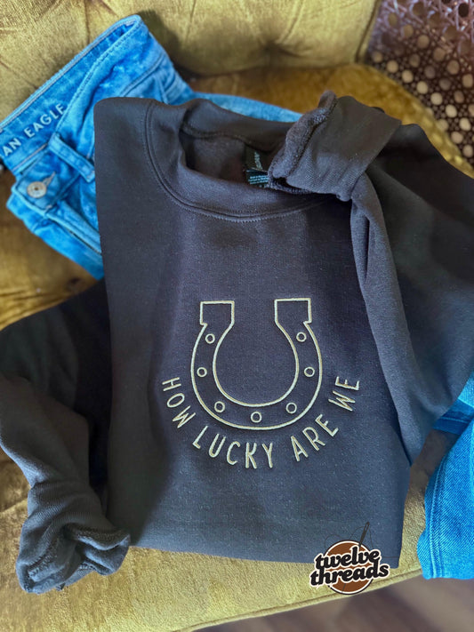 Embroidered how lucky are we, horseshoe lucky, embroidery, country song, trendy embroidered t shirt crewneck, comfort colors, music trends